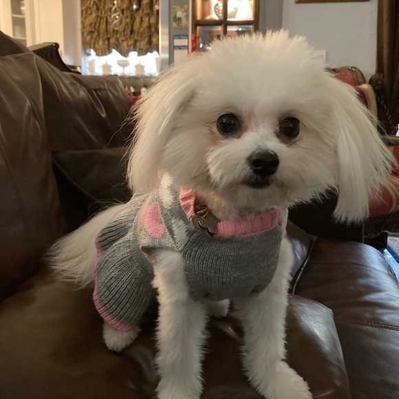 Meet your Posher, Karen - Picture 4 of 5